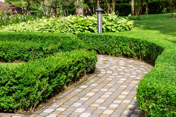 Paved Landscaping in Hickory