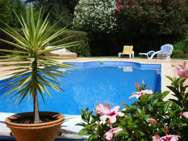 Pool Terrace Renovation in Hickory