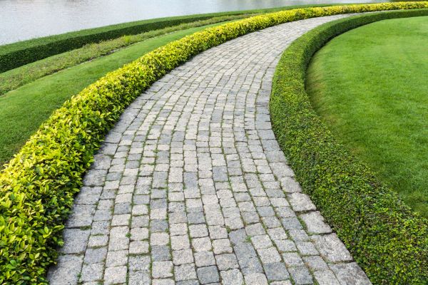 Sidewalk Pavers Installation in Hickory