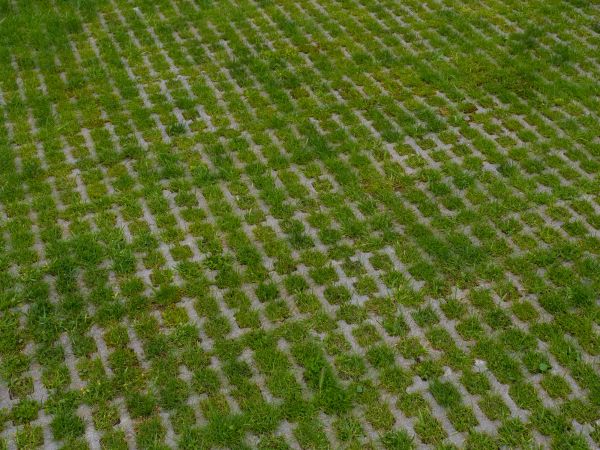 Permeable Pavement Service in Hickory
